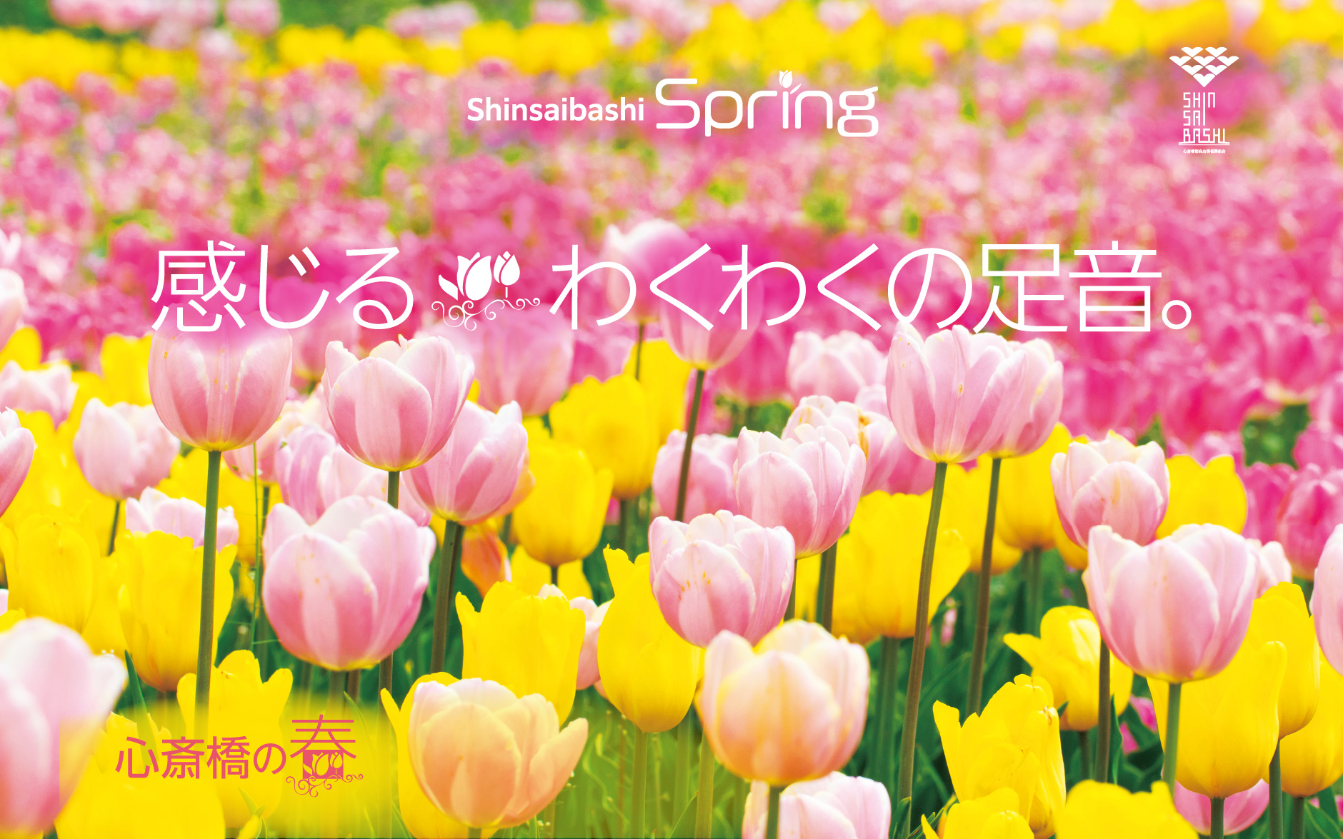 shinsaibashi spring 感じる わくわくの足音